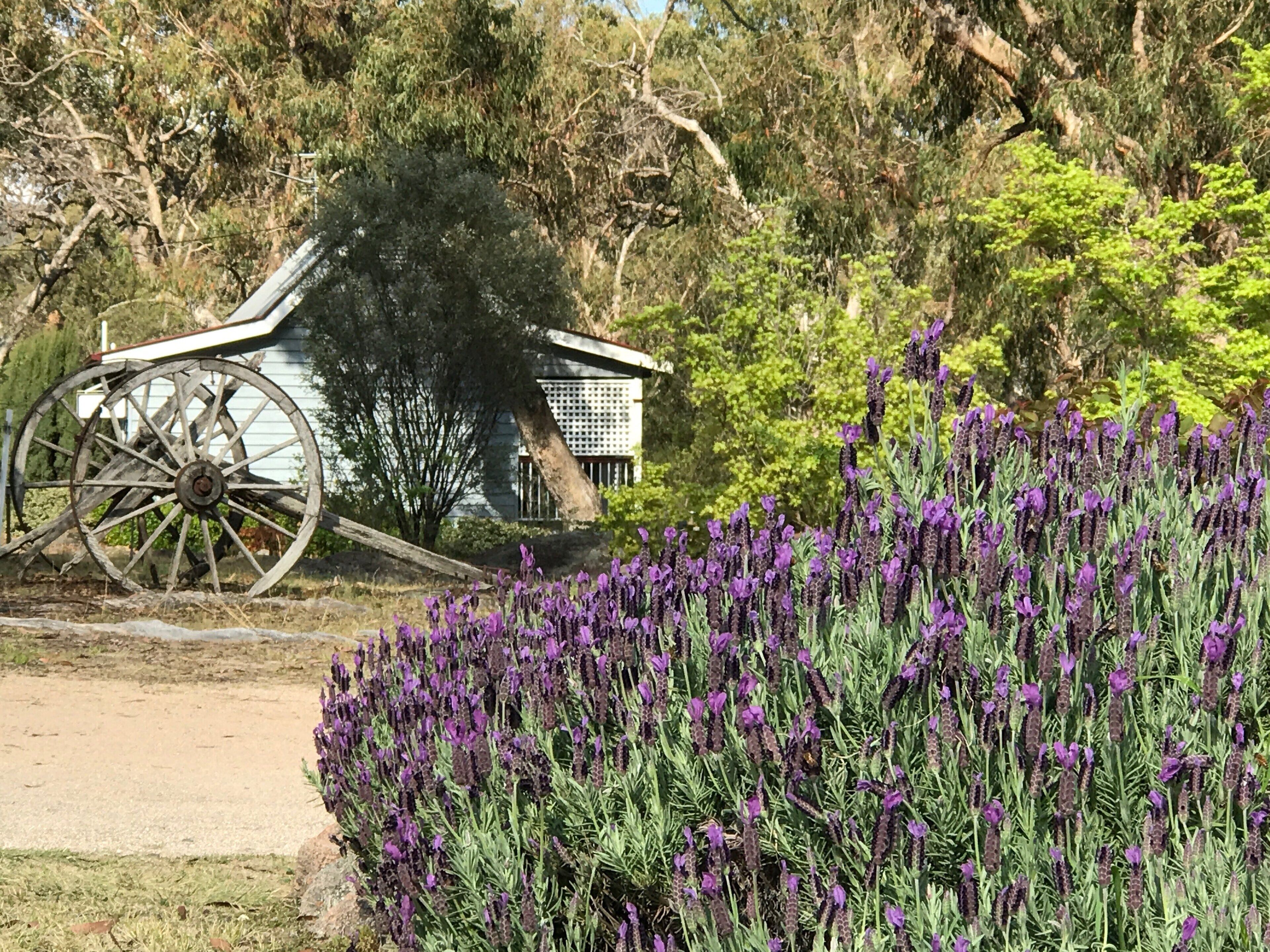 Diamondvale Cottages