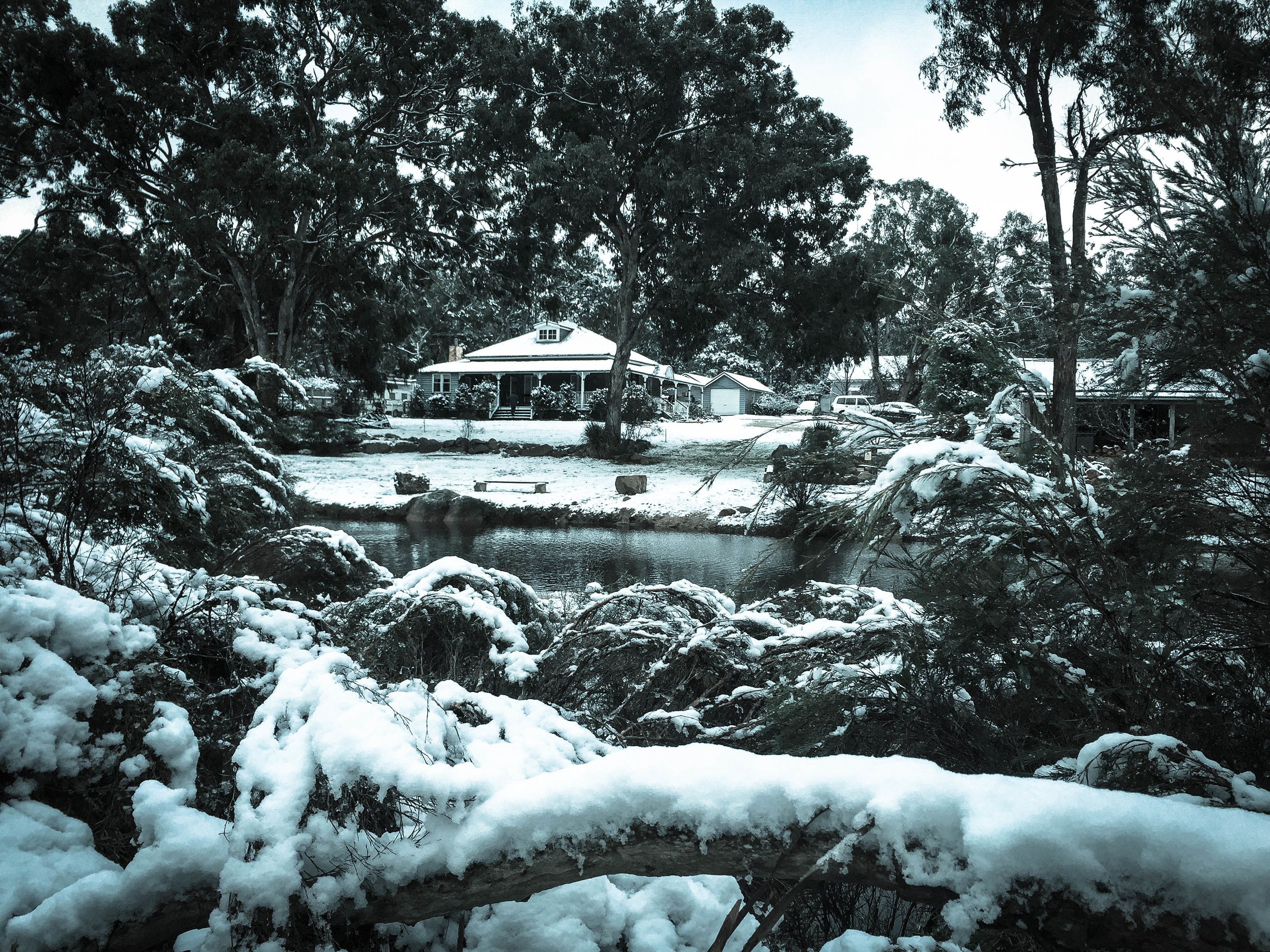 Diamondvale Cottages