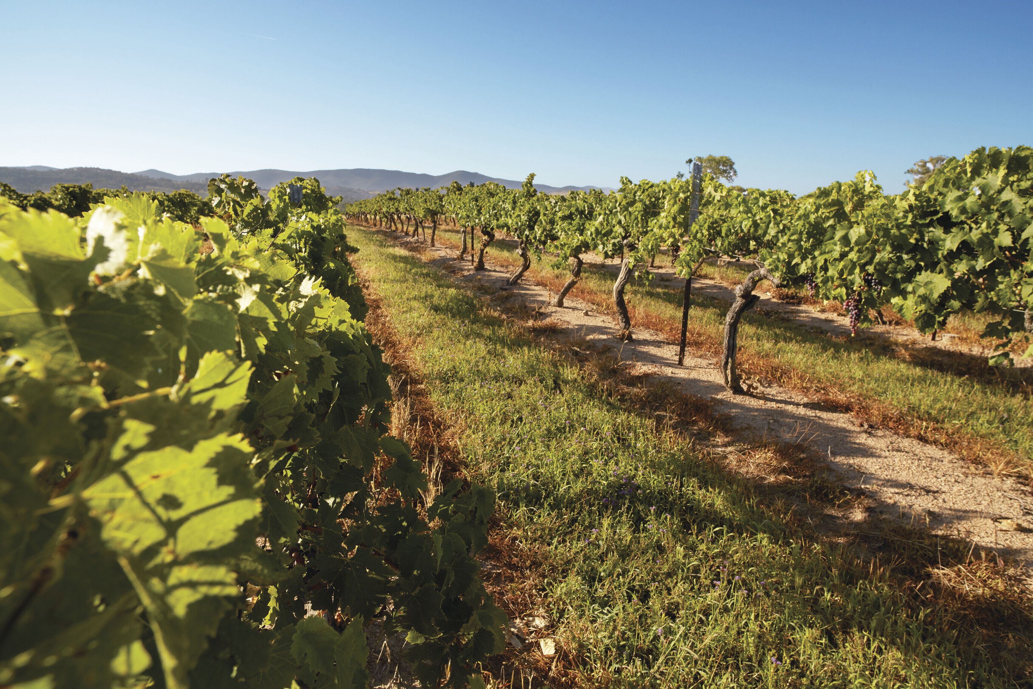 Diamondvale Cottages