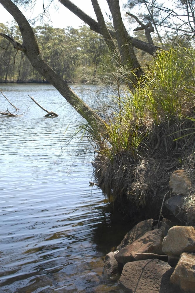 Property grounds, Bewong River Retreat