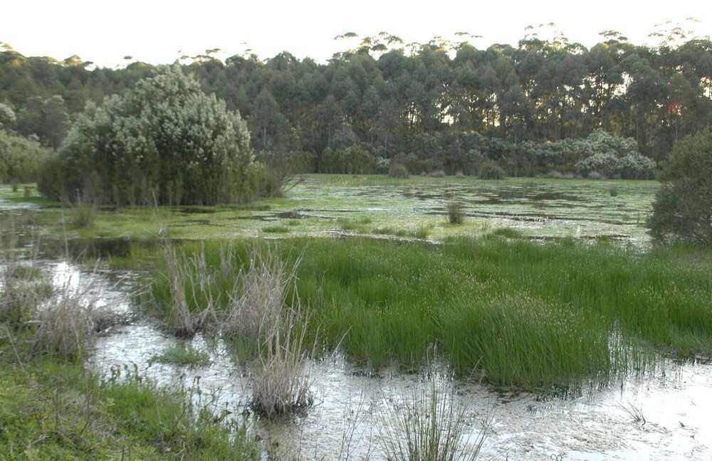 Property grounds, Bewong River Retreat