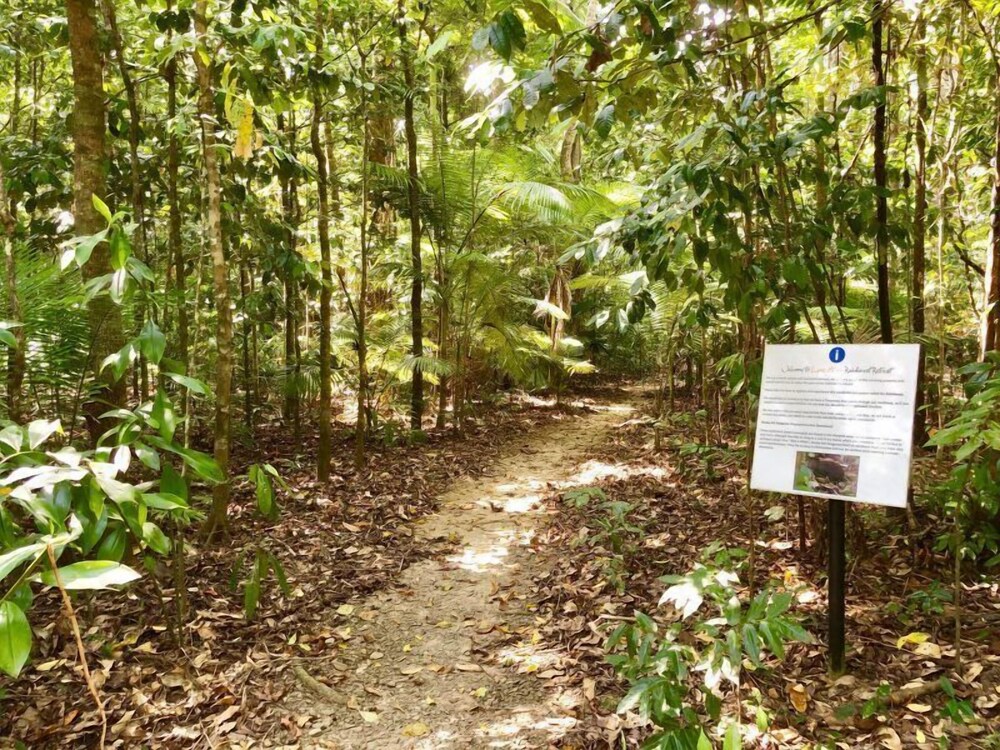 Lync Haven Rain Forest Retreat