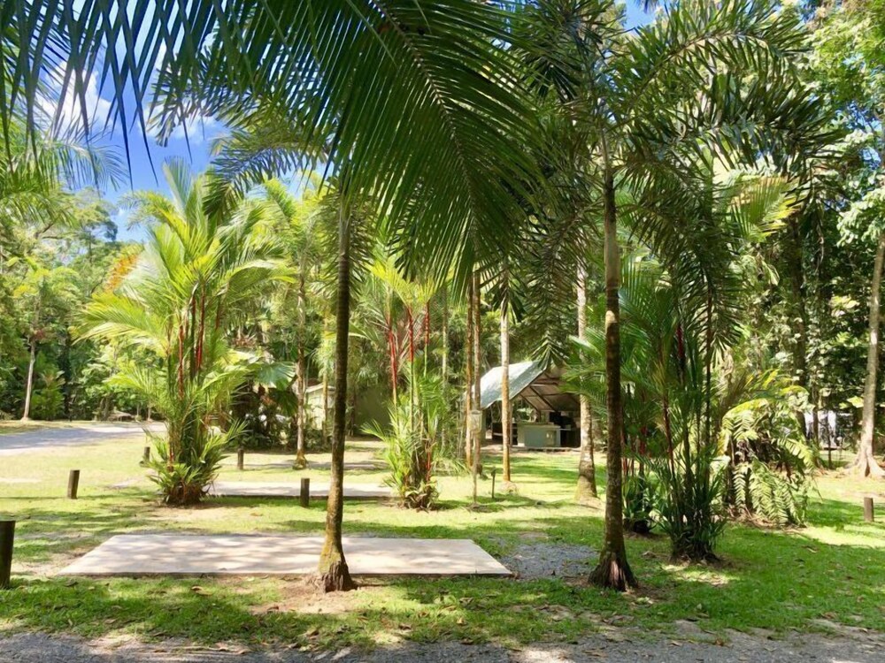 Lync Haven Rain Forest Retreat