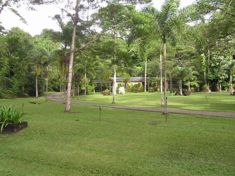 Lync Haven Rain Forest Retreat