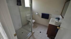 Combined shower/tub, hair dryer