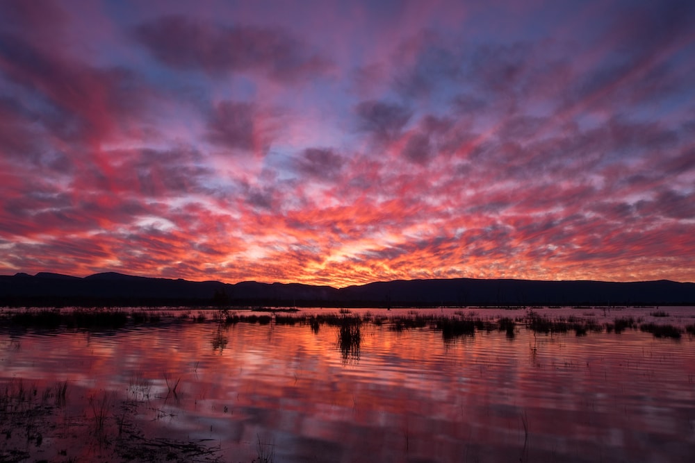 Lake Fyans Holiday Park