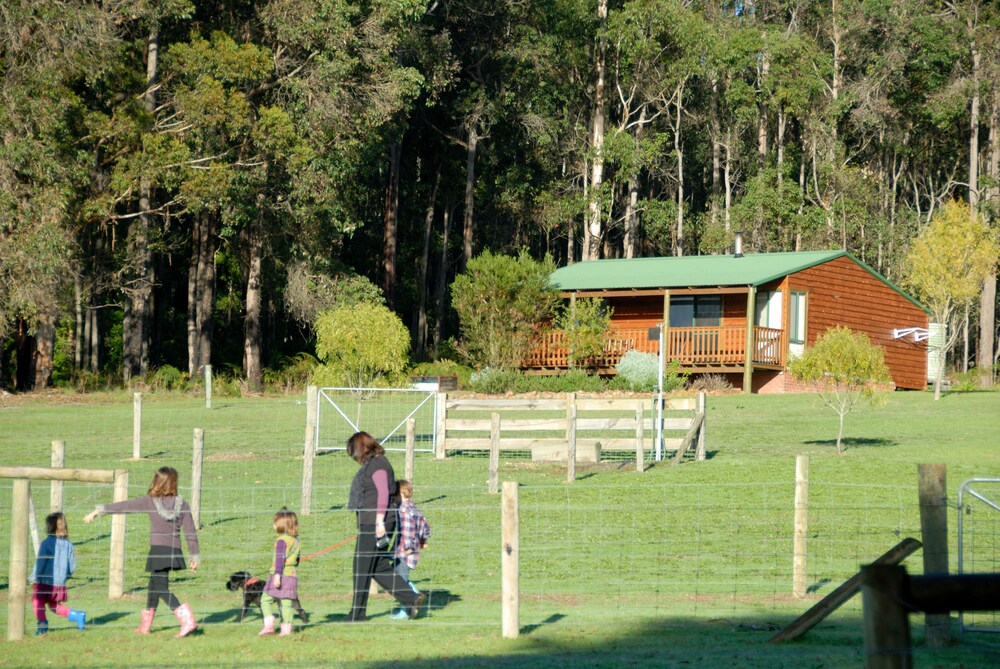 Diamond Forest Farm Stay
