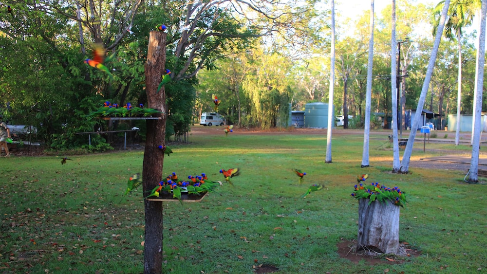 Batchelor Holiday Park Deals & Reviews (Batchelor, AUS) Wotif