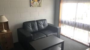 Flat-screen TV, Netflix