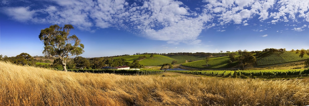 Longview Vineyard