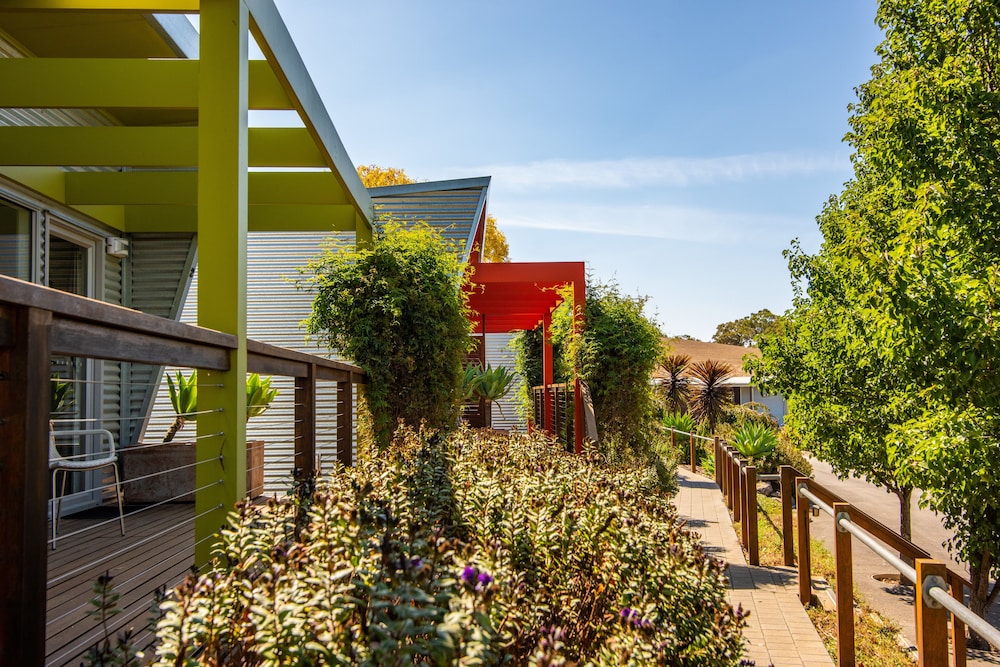 Longview Vineyard