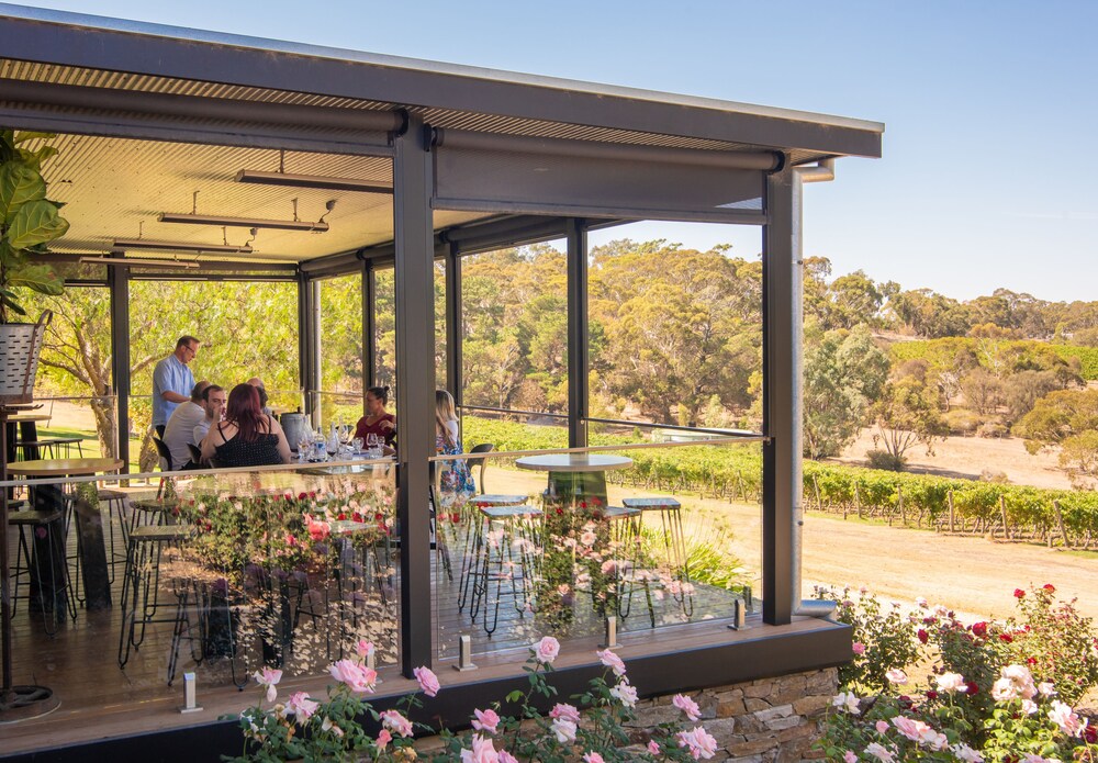 Longview Vineyard