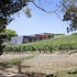 Longview Vineyard