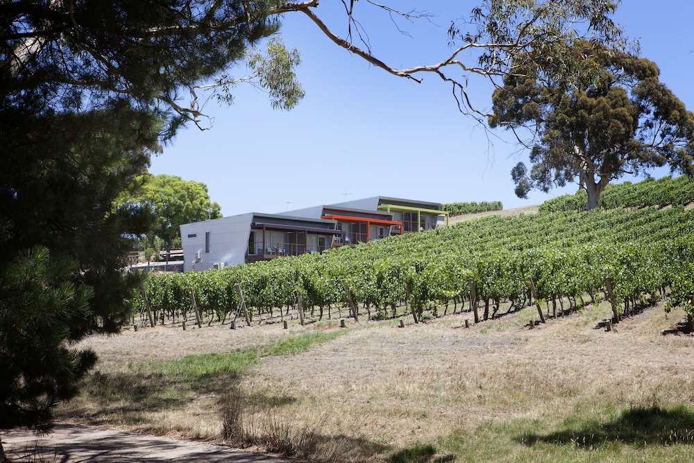 Longview Vineyard