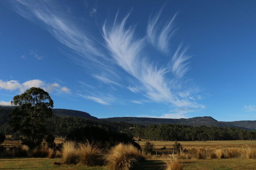 View from property, Forest Walks Lodge