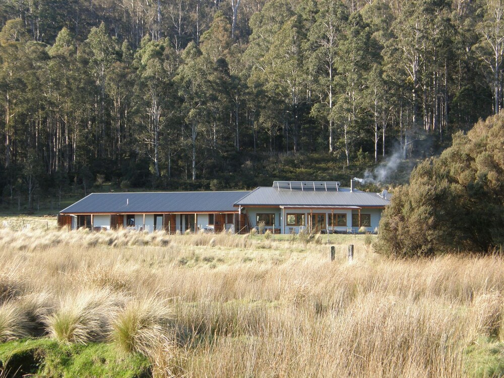 Property grounds, Forest Walks Lodge