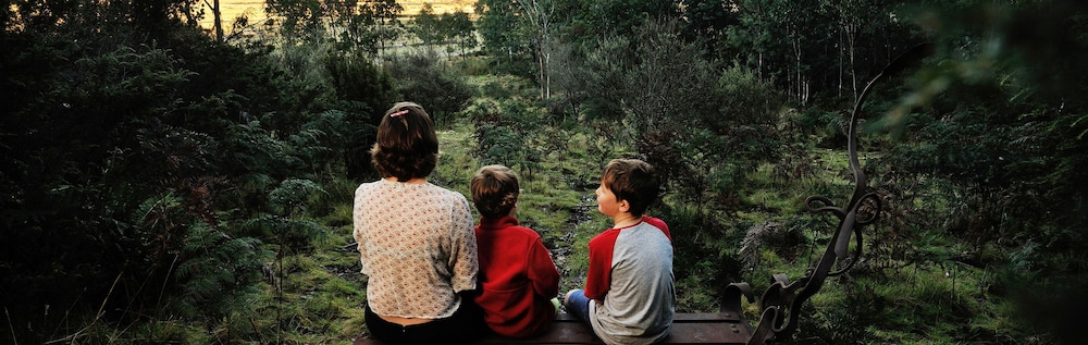 Property grounds, Forest Walks Lodge