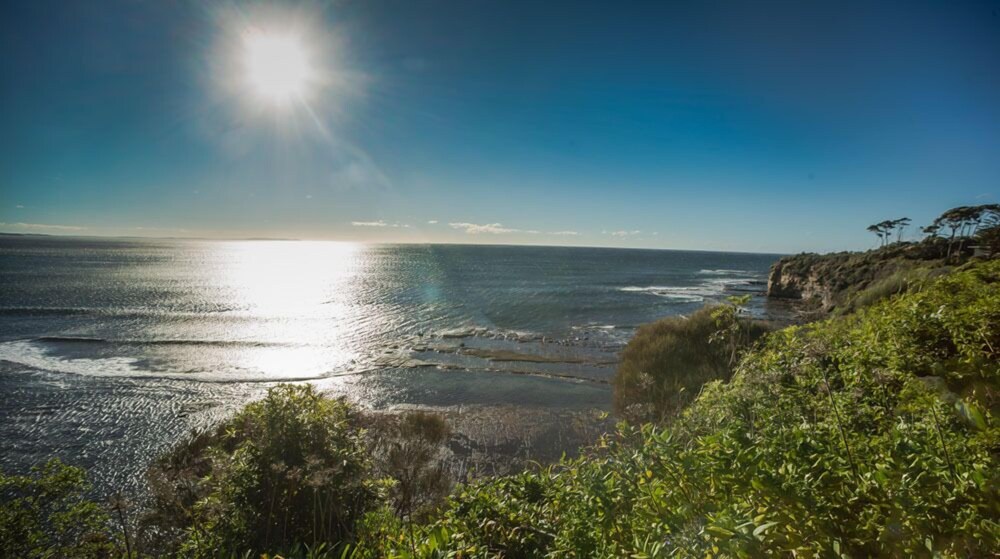 Birchgrove Apartments