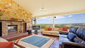 TV, fireplace, DVD player