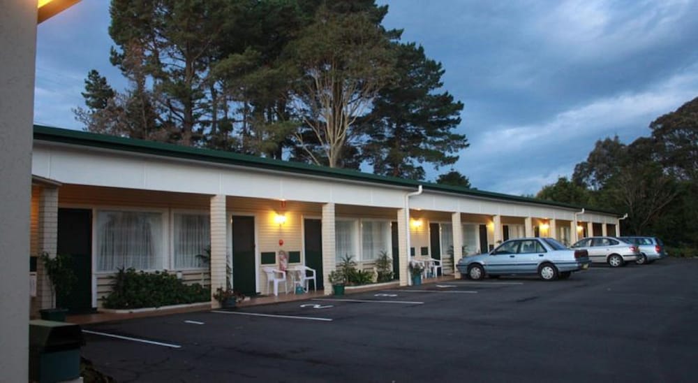 The Tree Motel