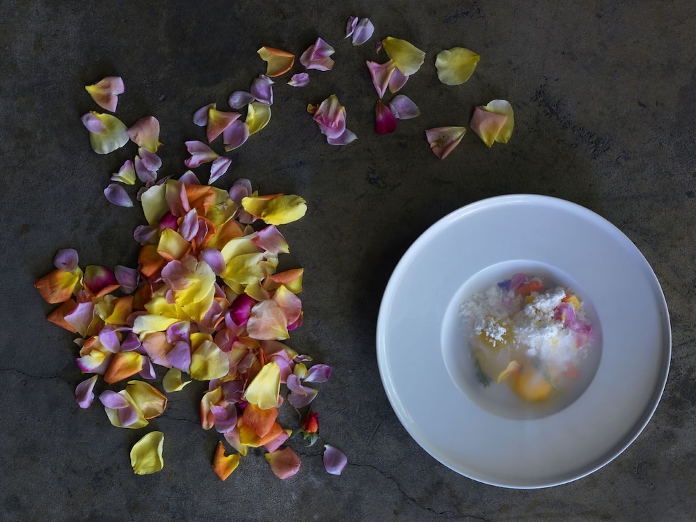 Biota Dining & Rooms