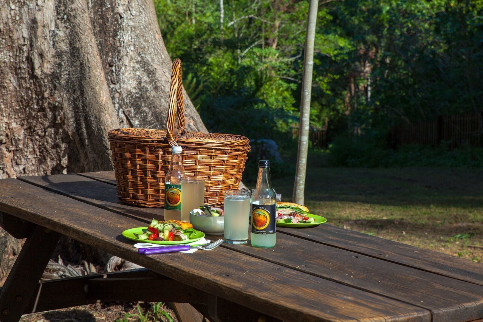 Crystal Creek Rainforest Retreat