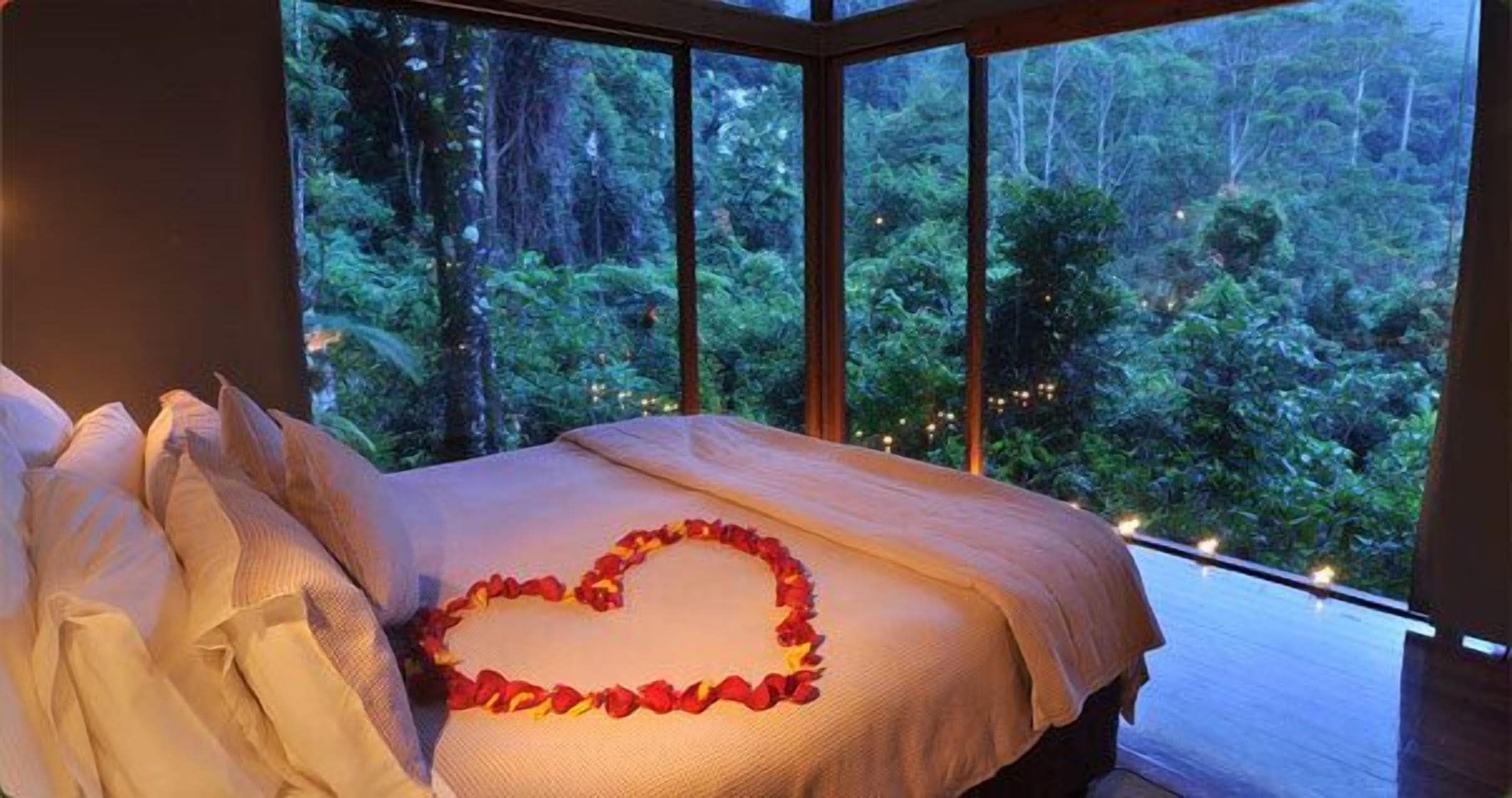 Crystal Creek Rainforest Retreat