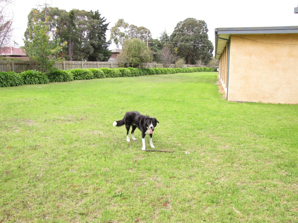Motel Traralgon