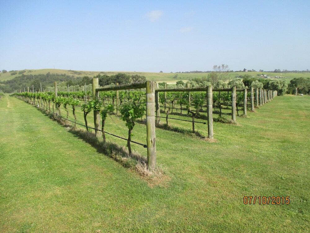 Tranquil Vale Vineyard & Cottages