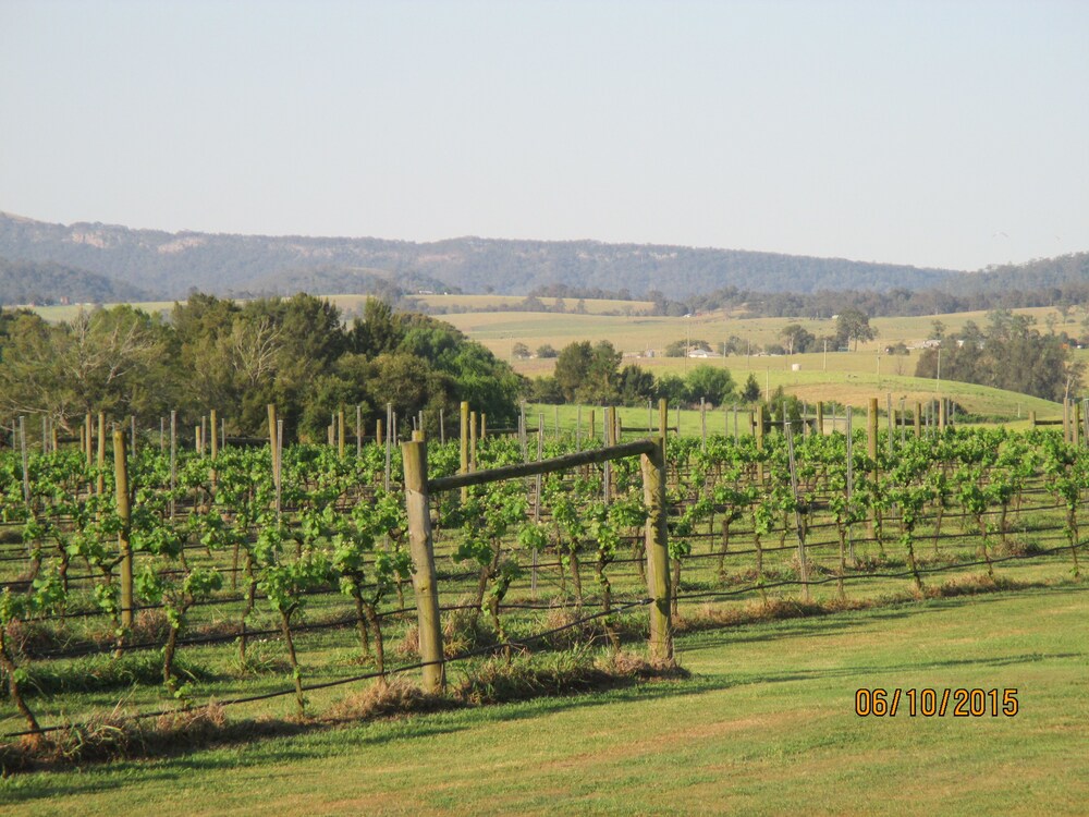 Tranquil Vale Vineyard & Cottages