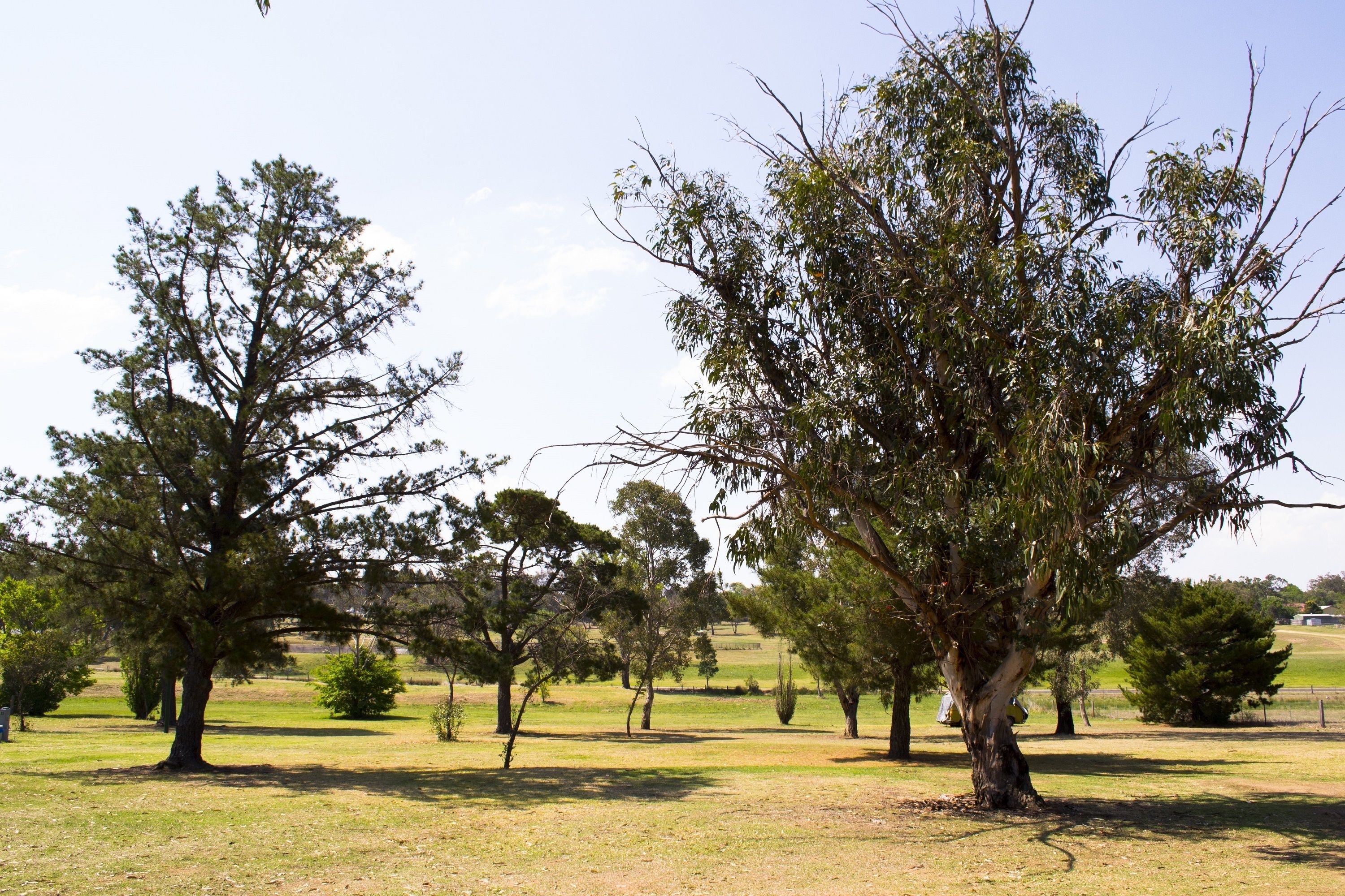 BIG4 Warwick Holiday Park