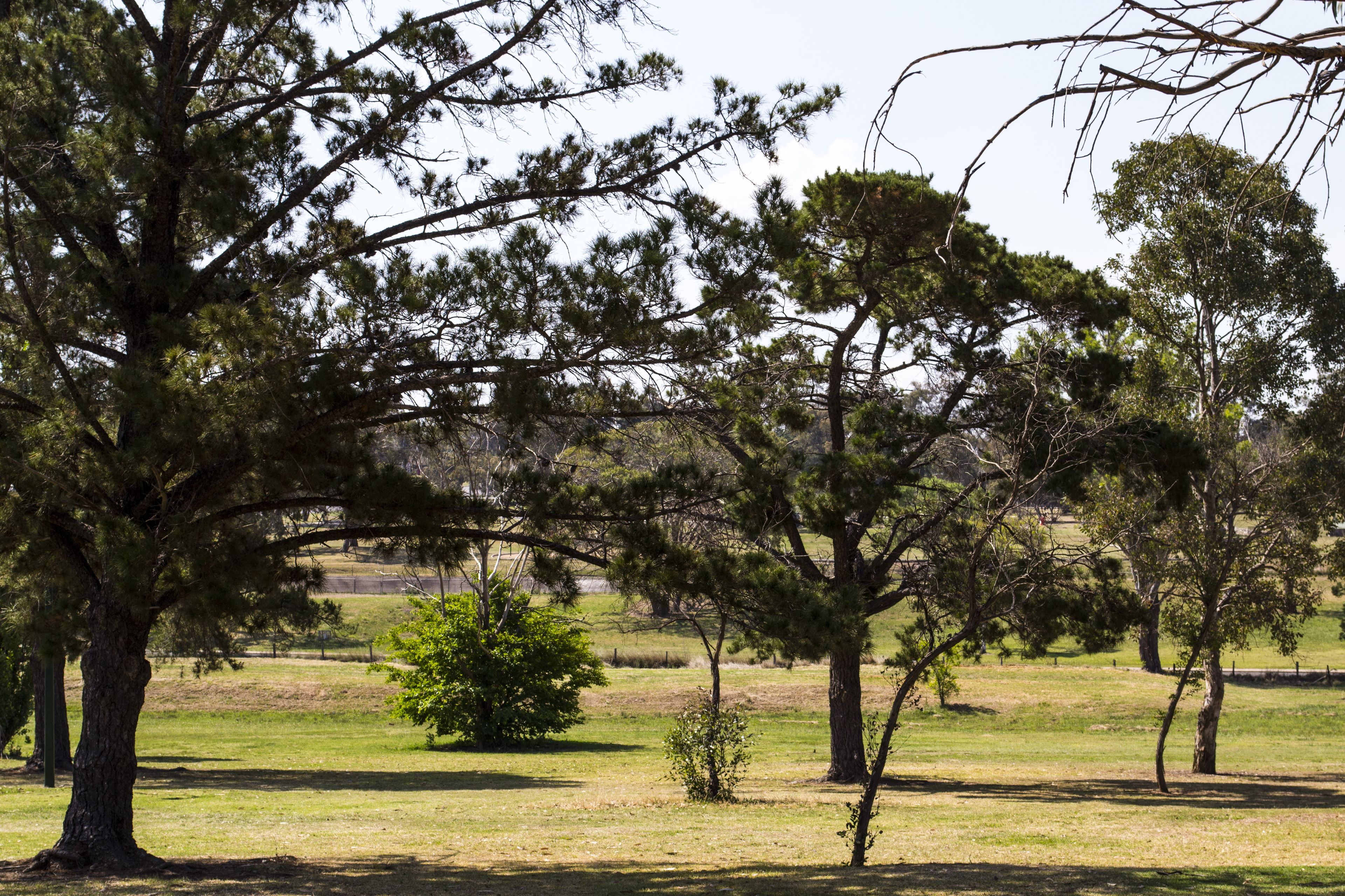 BIG4 Warwick Holiday Park