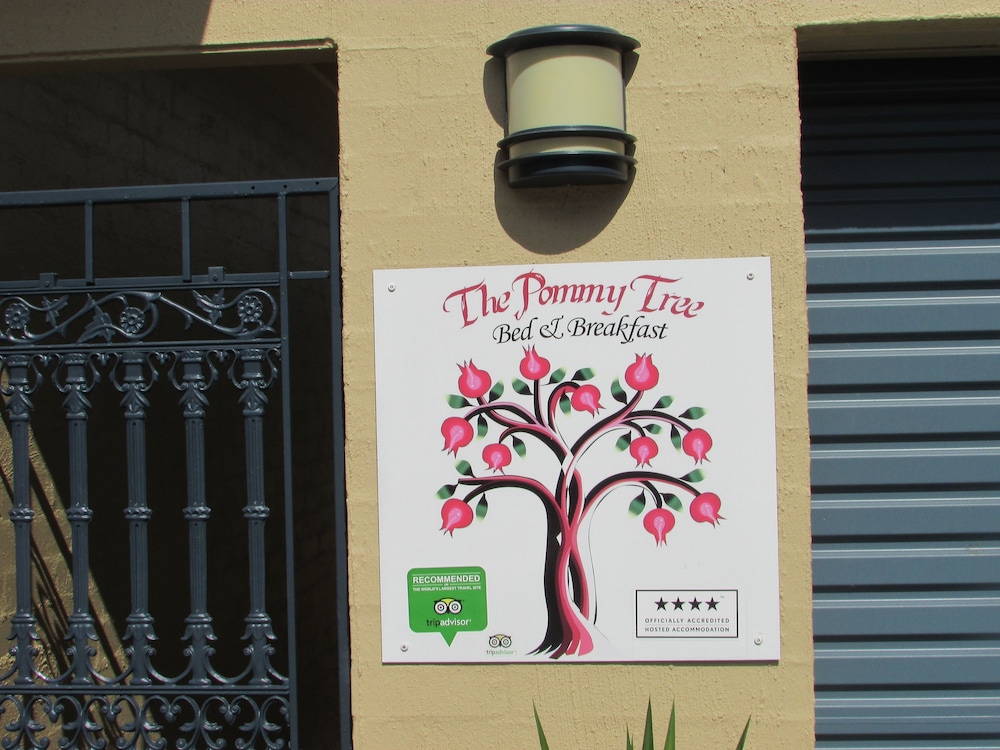 The Pommy Tree