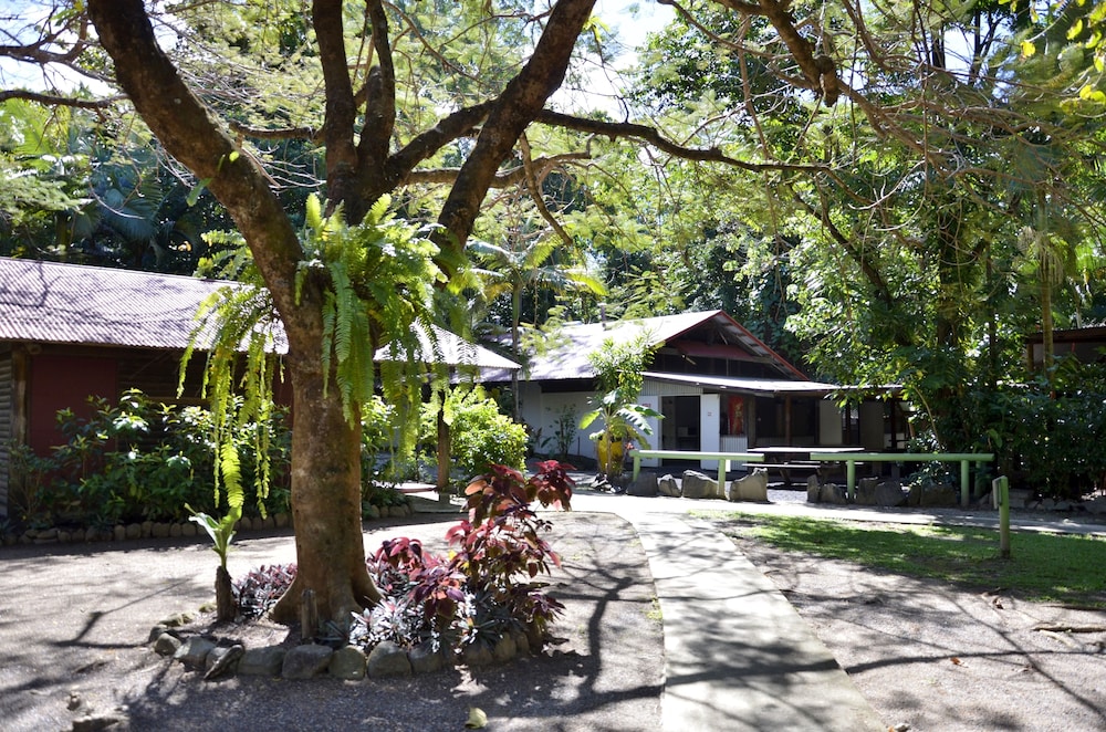 PKs Jungle Village - Hostel