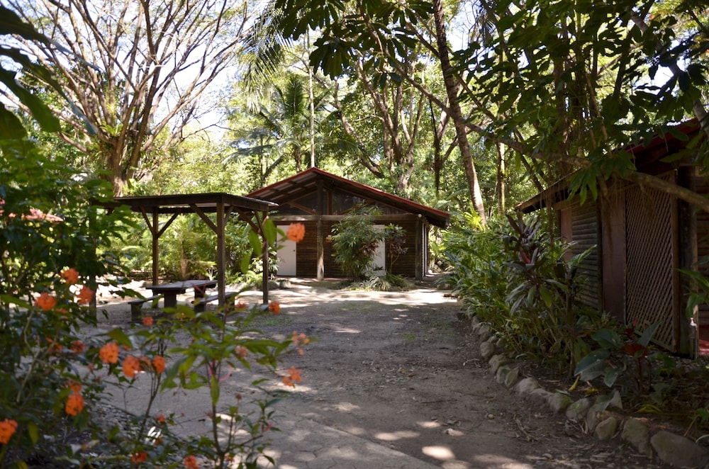 PKs Jungle Village - Hostel