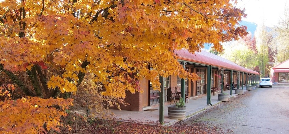 Harrietville Snowline Hotel