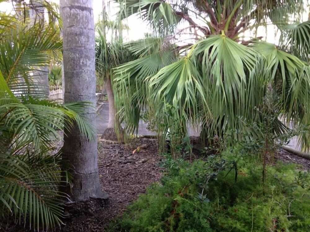 Forster Palms Motel