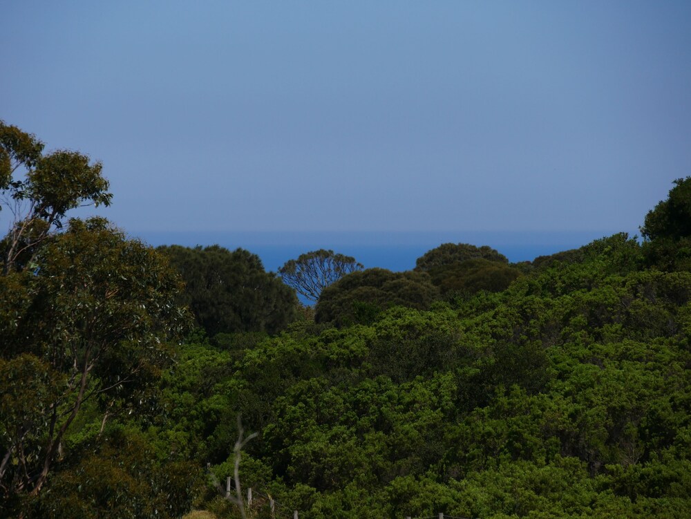 Shearwater Cottages