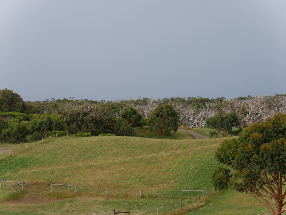 Shearwater Cottages