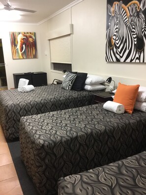 Iron/ironing board, free WiFi, bed sheets