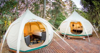 BIG4 Yarra Valley Park Lane Holiday Park