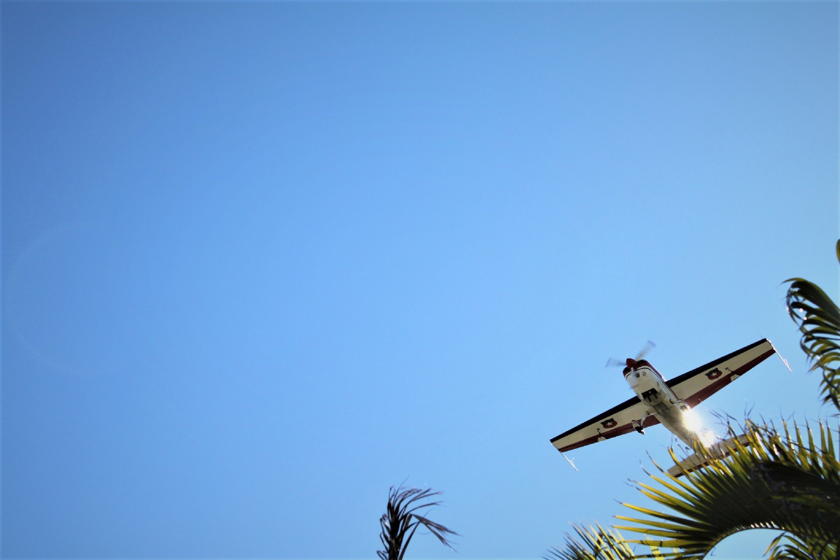 Pacific Palms Motor Inn