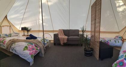 Zeehan Bush Camp