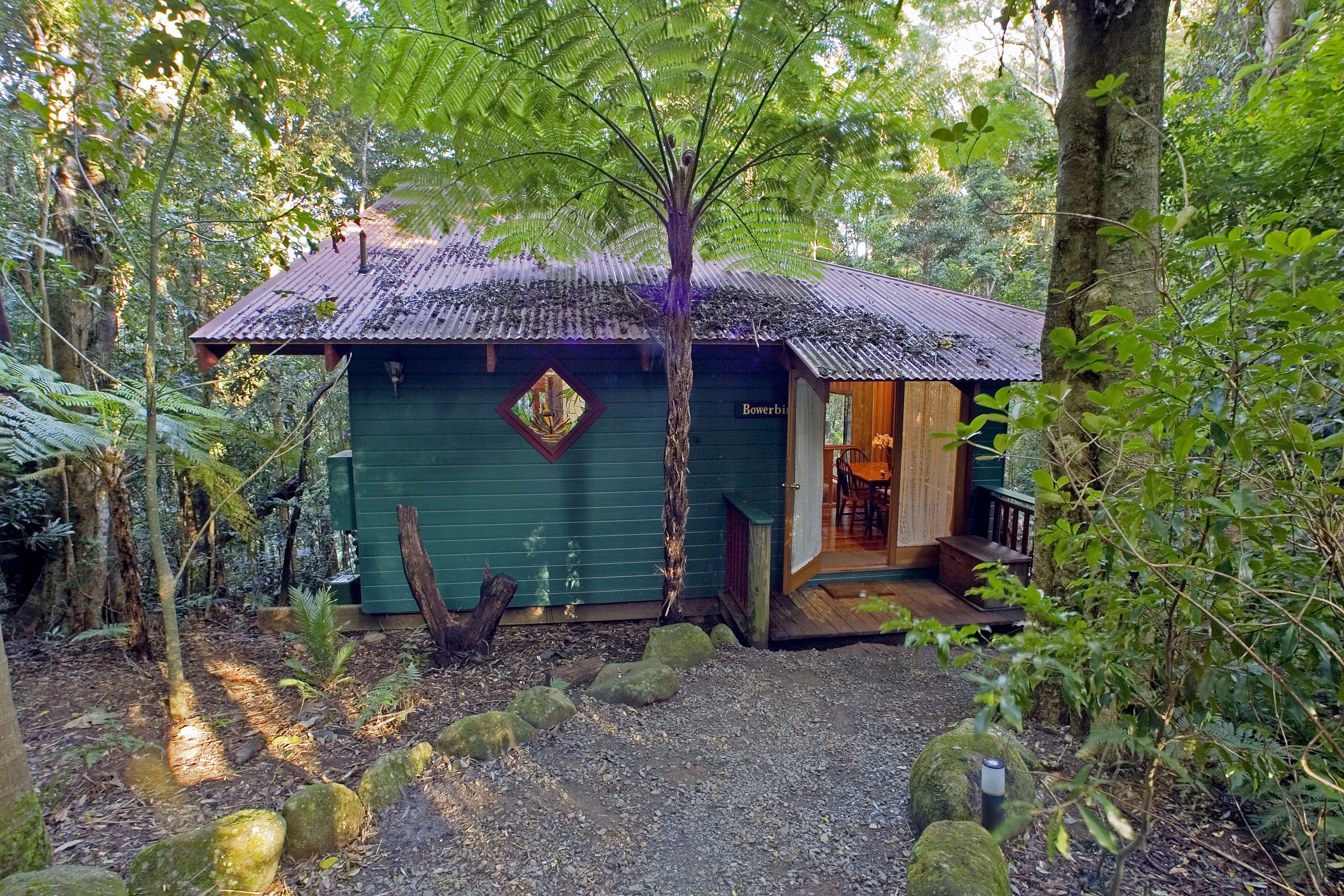 Springbrook Lyrebird Retreat