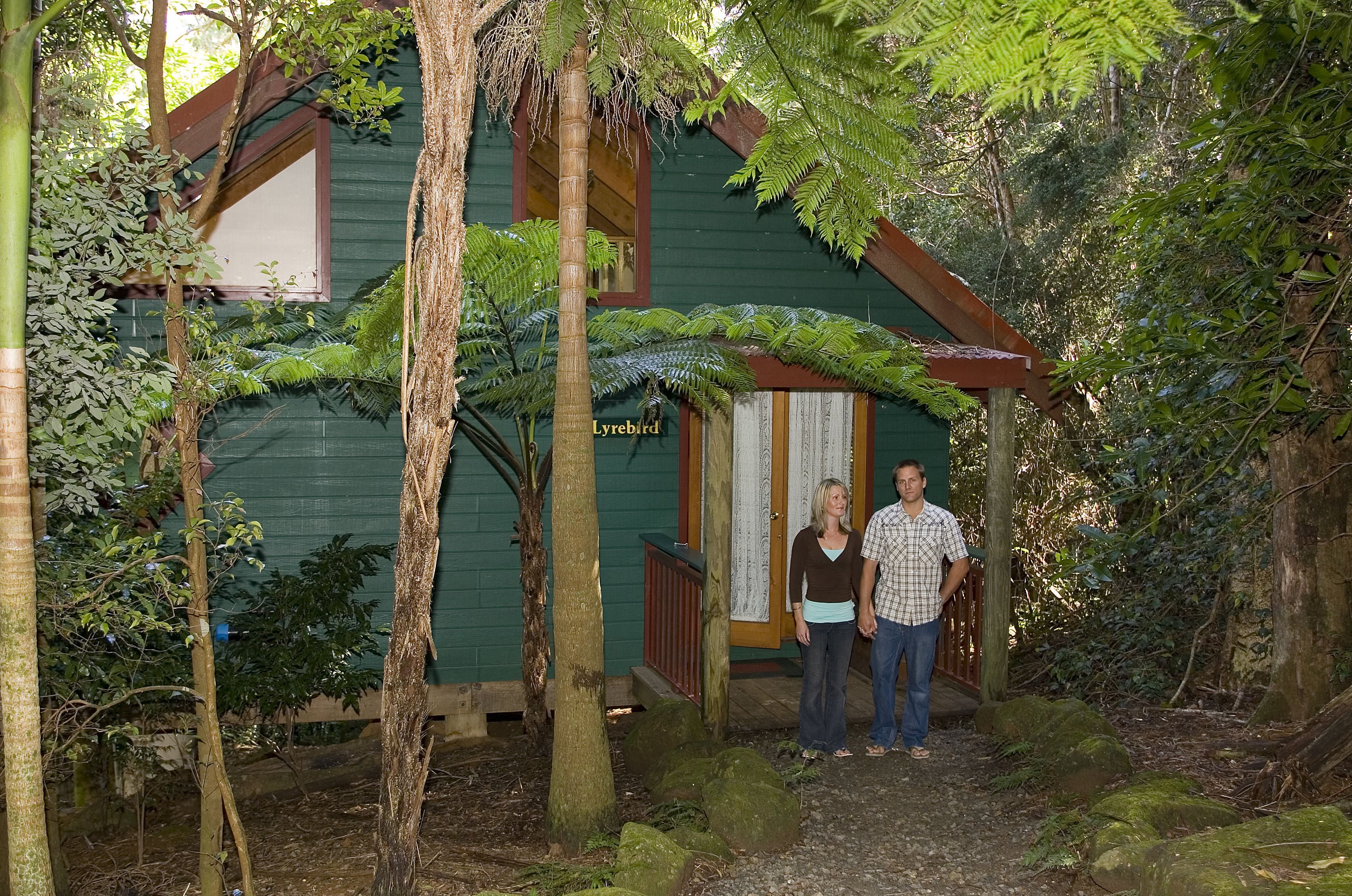 Springbrook Lyrebird Retreat