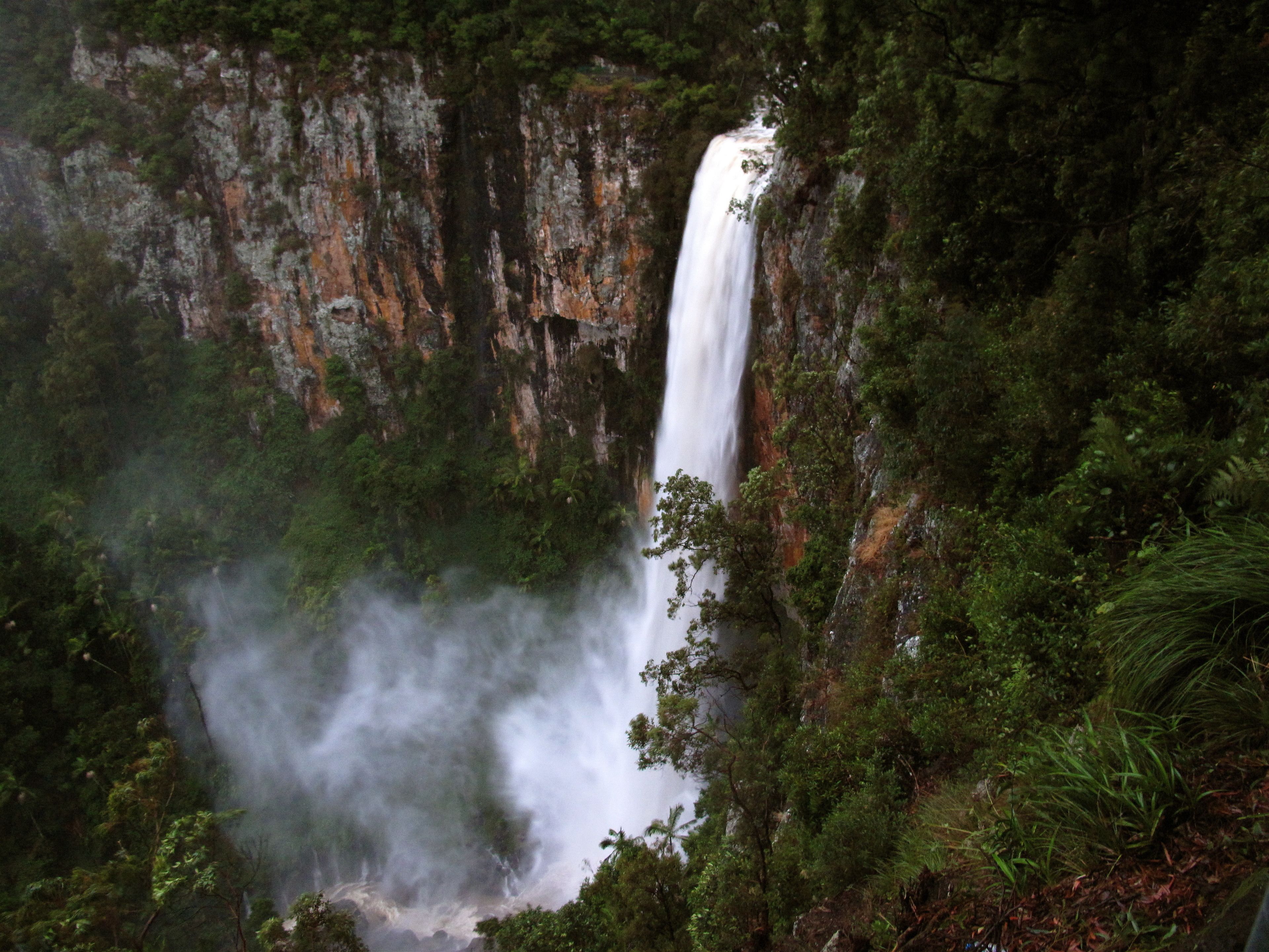 Springbrook Lyrebird Retreat