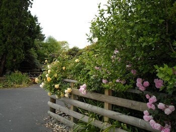 Bluebell Lodge And Cottage Deals Reviews Hastings Nzl Wotif