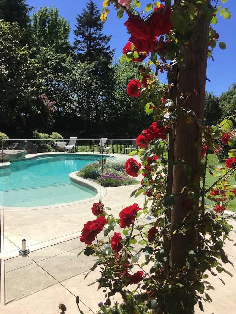 Bluebell Lodge And Cottage In Hastings Hotel Rates Reviews On