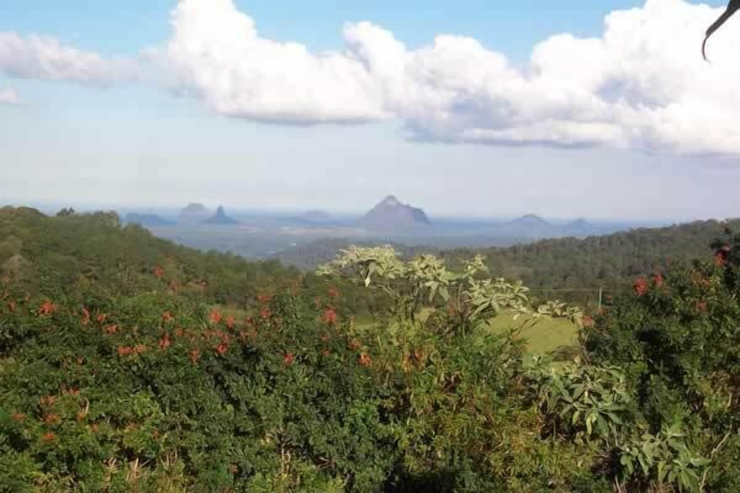 Top Cottage @ Maleny