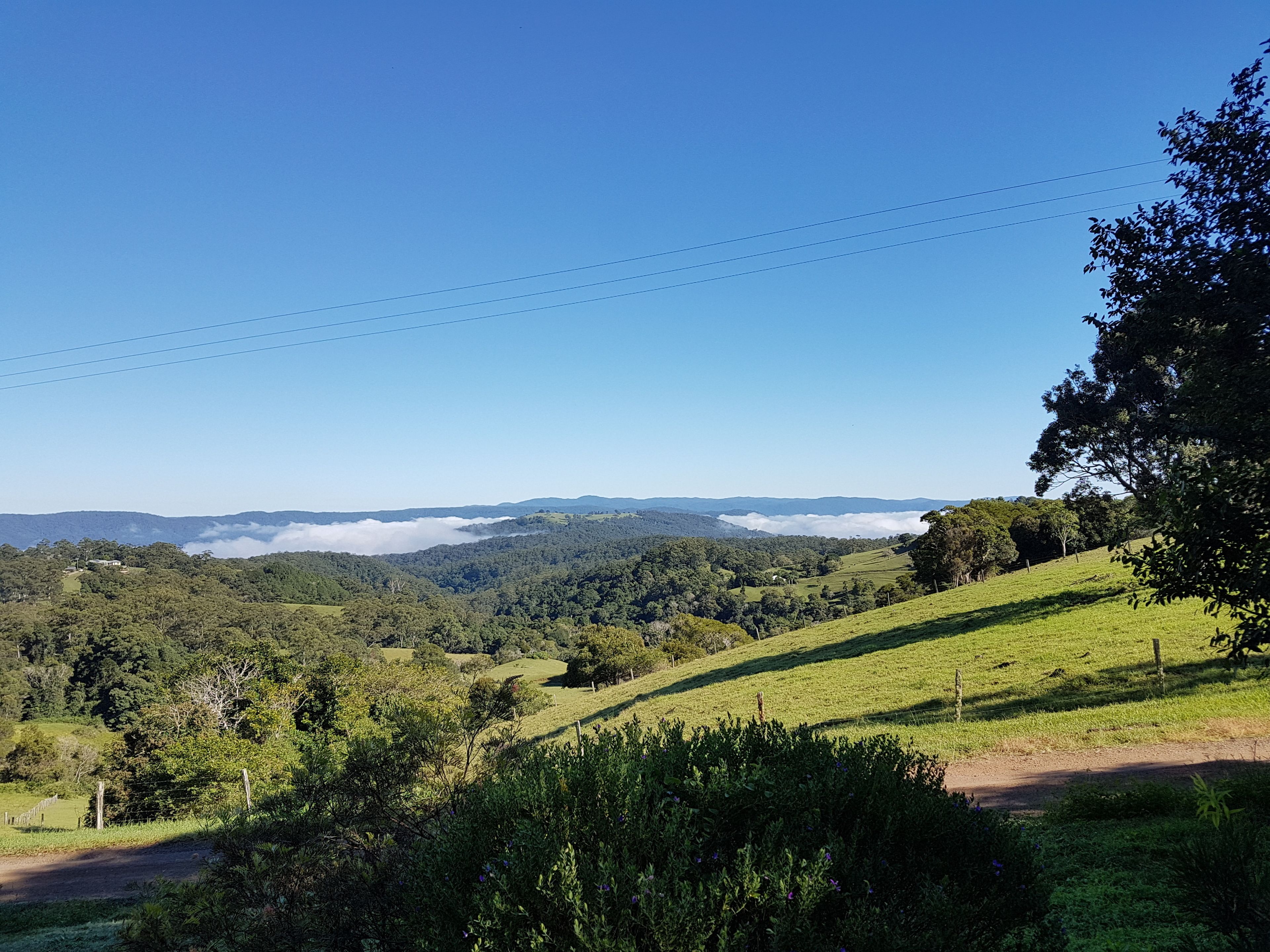Top Cottage @ Maleny
